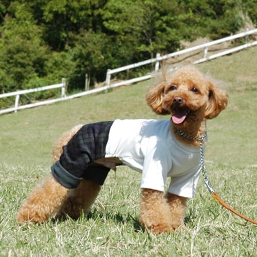 カバーオール つなぎ 愛犬のための犬服 ペット服の型紙通販 作り方 教室 Milla Milla