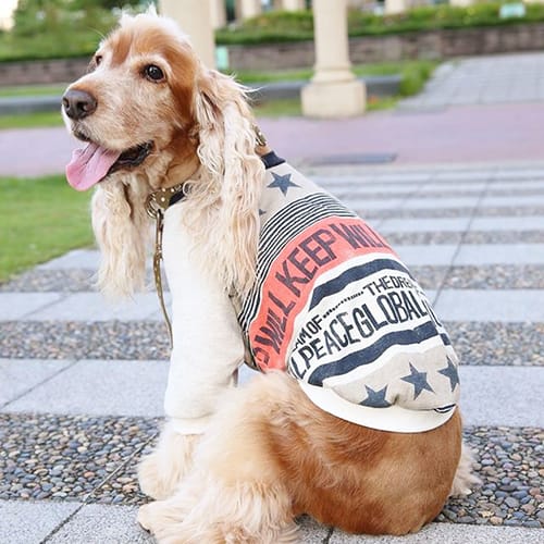 トレーナー 3wayパーカー 愛犬のための犬服 ペット服の型紙通販 作り方 教室 Milla Milla ミラミラ