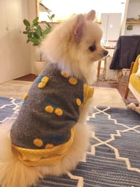 無料タンクトップ Millacra 愛犬のための犬服 ペット服の型紙通販 作り方 教室 Milla Milla 無料タンクトップ Millacra 愛犬のための犬服 ペット服の型紙通販 作り方 教室 Milla Milla