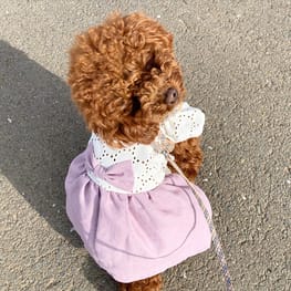 ワンピース Millacra 愛犬のための犬服 ペット服の型紙通販 作り方 教室 Milla Milla ワンピース Millacra 愛犬のための犬服 ペット服の型紙通販 作り方 教室 Milla Milla