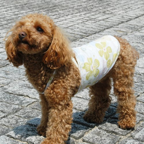 キャミソール 愛犬のための犬服 ペット服の型紙通販 作り方 教室 Milla Milla