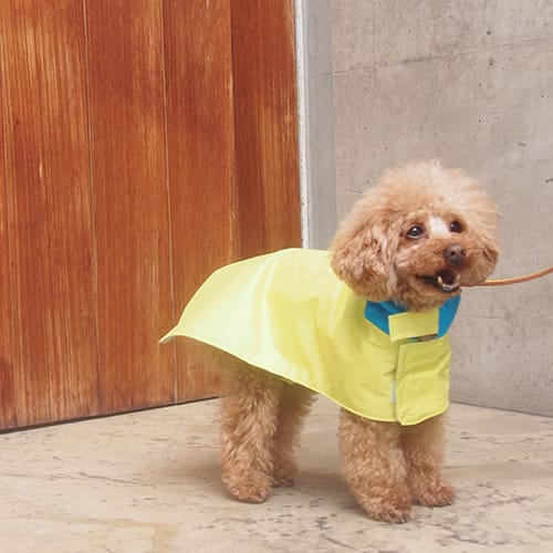 オーバーレインコート 愛犬のための犬服 ペット服の型紙通販 作り方 教室 Milla Milla