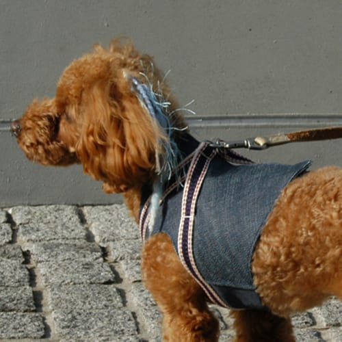 ハーネスウェア 愛犬のための犬服 ペット服の型紙通販 作り方 教室 Milla Milla