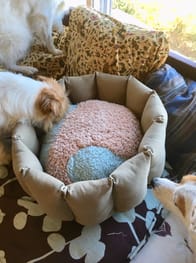 ラウンドベッド 愛犬のための犬服 ペット服の型紙通販 作り方 教室 Milla Milla