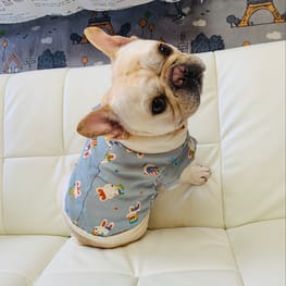 無料の犬服型紙 作り方ダウンロード タンクトップ 愛犬のための犬服 ペット服の型紙通販 作り方 教室 Milla Milla 無料の犬服型紙 作り方ダウンロード タンクトップ 愛犬のための犬服 ペット服の型紙通販 作り方 教室 Milla Milla