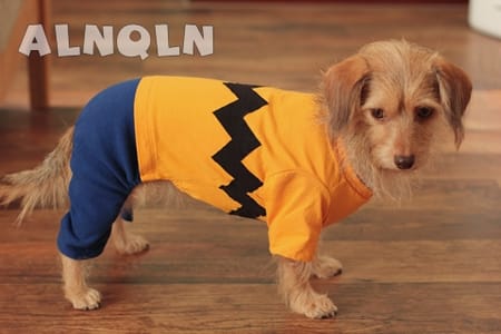 Whipwhipさんのカバーオール つなぎ 作品 愛犬のための犬服 ペット服の型紙通販 作り方 教室 Milla Milla