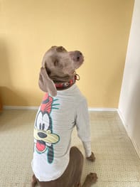 無料タンクトップ / millacra / 愛犬のための犬服、ペット服の型紙通販 
