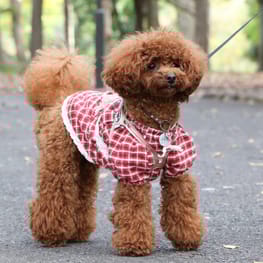 スモック チュニック Millacra 愛犬のための犬服 ペット服の型紙通販 作り方 教室 Milla Milla ミラミラ