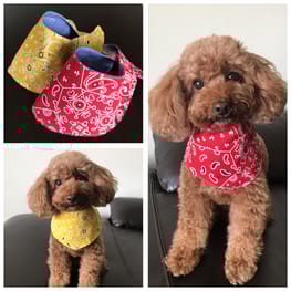 無料クールバンダナ Millacra 愛犬のための犬服 ペット服の型紙通販 作り方 教室 Milla Milla 無料クールバンダナ Millacra 愛犬のための犬服 ペット服の型紙通販 作り方 教室 Milla Milla