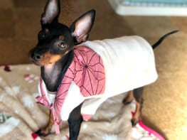 ちゃんちゃんこ Millacra 愛犬のための犬服 ペット服の型紙通販 作り方 教室 Milla Milla ちゃんちゃんこ Millacra 愛犬のための犬服 ペット服の型紙通販 作り方 教室 Milla Milla