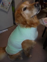 無料タンクトップ Millacra 愛犬のための犬服 ペット服の型紙通販 作り方 教室 Milla Milla