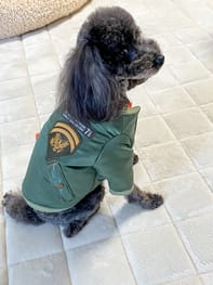 ダウンジャケット Millacra 愛犬のための犬服 ペット服の型紙通販 作り方 教室 Milla Milla ダウンジャケット Millacra 愛犬のための犬服 ペット服の型紙通販 作り方 教室 Milla Milla