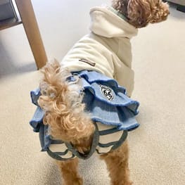 サニタリー マナーパンツ Millacra 愛犬のための犬服 ペット服の型紙通販 作り方 教室 Milla Milla