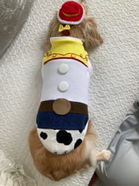 無料タンクトップ Millacra 愛犬のための犬服 ペット服の型紙通販 作り方 教室 Milla Milla 無料タンクトップ Millacra 愛犬のための犬服 ペット服の型紙通販 作り方 教室 Milla Milla