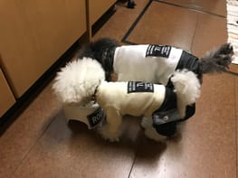 カバーオール つなぎ Millacra 愛犬のための犬服 ペット服の型紙通販 作り方 教室 Milla Milla カバーオール つなぎ Millacra 愛犬のための犬服 ペット服の型紙通販 作り方 教室 Milla Milla
