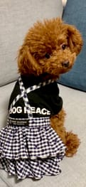 パンツ サロペット Millacra 愛犬のための犬服 ペット服の型紙通販 作り方 教室 Milla Milla パンツ サロペット Millacra 愛犬のための犬服 ペット服の型紙通販 作り方 教室 Milla Milla
