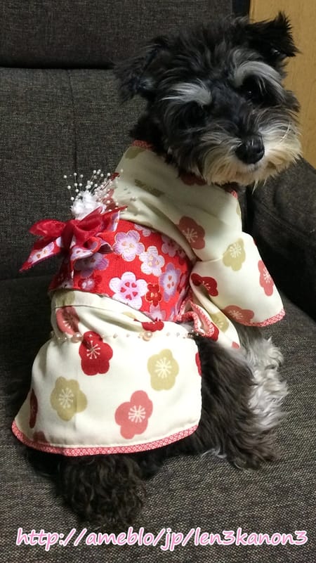 レンかのさんの浴衣作品 愛犬のための犬服 ペット服の型紙通販 作り方 教室 Milla Milla