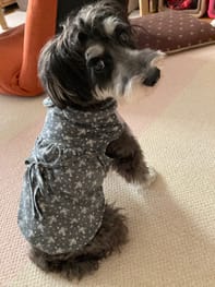 バルーンブラウス Millacra 愛犬のための犬服 ペット服の型紙通販 作り方 教室 Milla Milla バルーンブラウス Millacra 愛犬のための犬服 ペット服の型紙通販 作り方 教室 Milla Milla