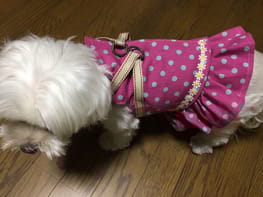 ハーネスウェア Millacra 愛犬のための犬服 ペット服の型紙通販 作り方 教室 Milla Milla ミラミラ