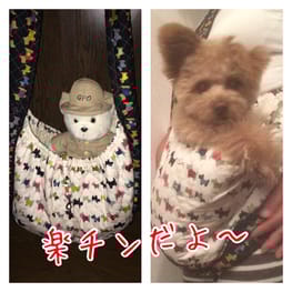 ドッグスリング 愛犬のための犬服 ペット服の型紙通販 作り方 教室 Milla Milla ドッグスリング 愛犬のための犬服 ペット服の型紙通販 作り方 教室 Milla Milla