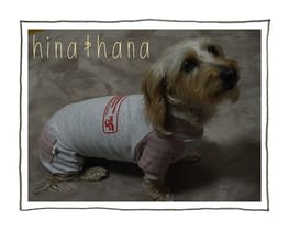 つなぎ カバーオール Millacra 愛犬のための犬服 ペット服の型紙通販 作り方 教室 Milla Milla つなぎ カバーオール Millacra 愛犬のための犬服 ペット服の型紙通販 作り方 教室 Milla Milla