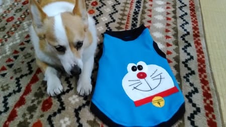 にゃん太さんの無料タンクトップ作品 愛犬のための犬服 ペット服の型紙通販 作り方 教室 Milla Milla ミラミラ