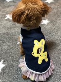 無料の犬服型紙 作り方ダウンロード タンクトップ 愛犬のための犬服 ペット服の型紙通販 作り方 教室 Milla Milla 無料の犬服型紙 作り方ダウンロード タンクトップ 愛犬のための犬服 ペット服の型紙通販 作り方 教室 Milla Milla