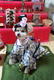 浴衣 Millacra 愛犬のための犬服 ペット服の型紙通販 作り方 教室 Milla Milla