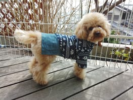 スカート サロペット Millacra 愛犬のための犬服 ペット服の型紙通販 作り方 教室 Milla Milla