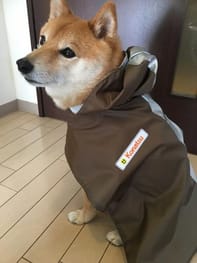レインコート Millacra 愛犬のための犬服 ペット服の型紙通販 作り方 教室 Milla Milla レインコート Millacra 愛犬のための犬服 ペット服の型紙通販 作り方 教室 Milla Milla