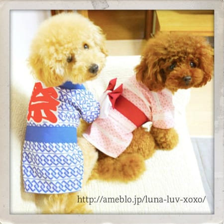 Kumiさんの浴衣作品 愛犬のための犬服 ペット服の型紙通販 作り方 教室 Milla Milla ミラミラ