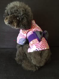浴衣 Millacra 愛犬のための犬服 ペット服の型紙通販 作り方 教室 Milla Milla ミラミラ
