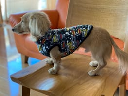 無料タンクトップ Millacra 愛犬のための犬服 ペット服の型紙通販 作り方 教室 Milla Milla