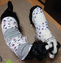 無料タンクトップ Millacra 愛犬のための犬服 ペット服の型紙通販 作り方 教室 Milla Milla 無料タンクトップ Millacra 愛犬のための犬服 ペット服の型紙通販 作り方 教室 Milla Milla