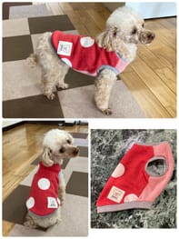犬服のハンドメイド作品 みんなのかわいい手作り犬服 愛犬のための犬服 ペット服の型紙通販 作り方 教室 Milla Milla