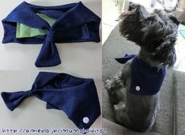 無料の犬服型紙 作り方ダウンロード セーラーカラー 愛犬のための犬服 ペット服の型紙通販 作り方 教室 Milla Milla ミラミラ