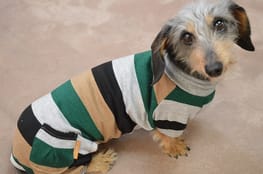 つなぎ カバーオール Millacra 愛犬のための犬服 ペット服の型紙通販 作り方 教室 Milla Milla つなぎ カバーオール Millacra 愛犬のための犬服 ペット服の型紙通販 作り方 教室 Milla Milla