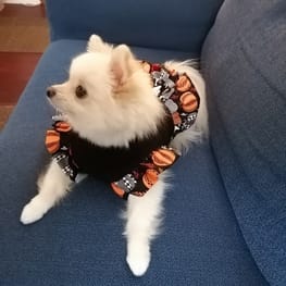 無料の犬服型紙 作り方ダウンロード タンクトップ 愛犬のための犬服 ペット服の型紙通販 作り方 教室 Milla Milla
