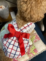 キャミソール Millacra 愛犬のための犬服 ペット服の型紙通販 作り方 教室 Milla Milla