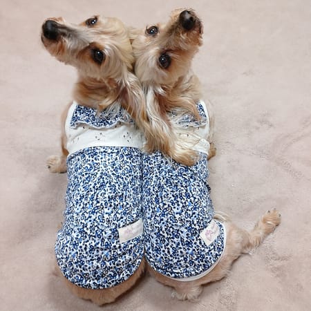 ひなはなさんの作品 愛犬のための犬服 ペット服の型紙通販 作り方 教室 Milla Milla