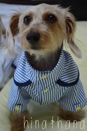 レインコート Millacra 愛犬のための犬服 ペット服の型紙通販 作り方 教室 Milla Milla レインコート Millacra 愛犬のための犬服 ペット服の型紙通販 作り方 教室 Milla Milla