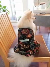 ワンピース Millacra 愛犬のための犬服 ペット服の型紙通販 作り方 教室 Milla Milla ミラミラ