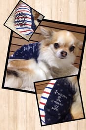無料の犬服型紙 作り方ダウンロード タンクトップ 愛犬のための犬服 ペット服の型紙通販 作り方 教室 Milla Milla ミラミラ