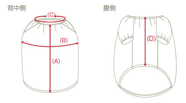 サイズ