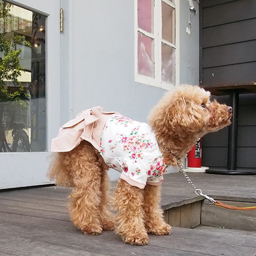 ラップスカートワンピース 愛犬のための犬服 ペット服の型紙通販 作り方 教室 Milla Milla