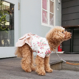 ワンピース / 愛犬のための犬服、ペット服の型紙通販・作り方・教室