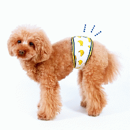 ペット✩犬✩マナーベルトオーダー用 サンプル(確認用) 4》ペット＊犬＊マナーベルトオーダー用 サンプル（確認用）