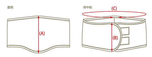 立体設計のマナーベルトが作れる型紙