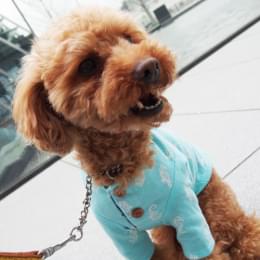 ベーシックシリーズ　パーツセットA