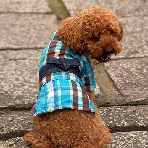 浴衣 / 愛犬のための犬服、ペット服の型紙通販・作り方・教室 milla milla